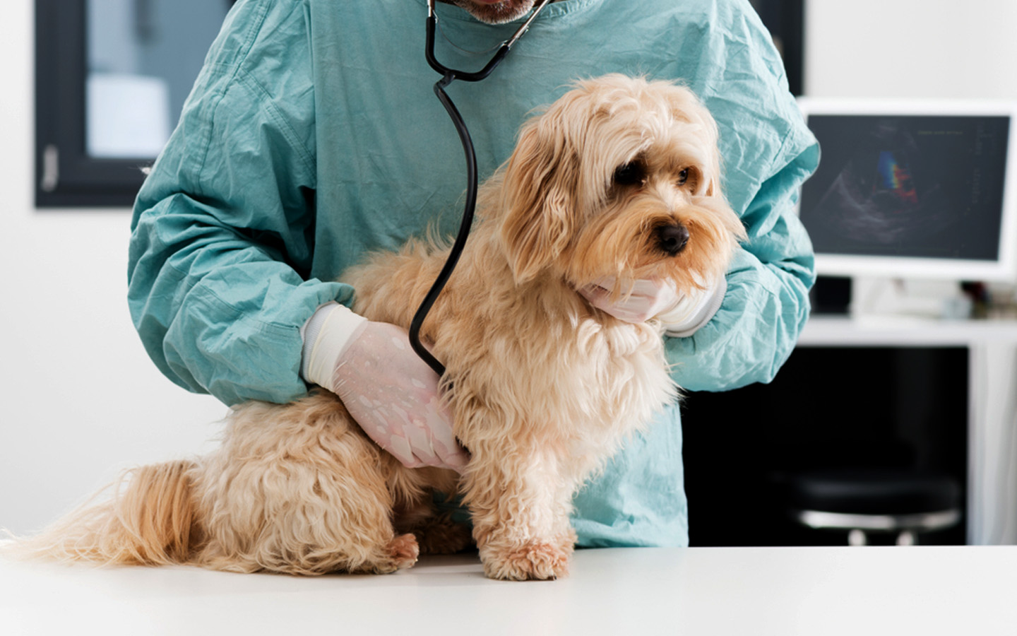 متابعة صحية